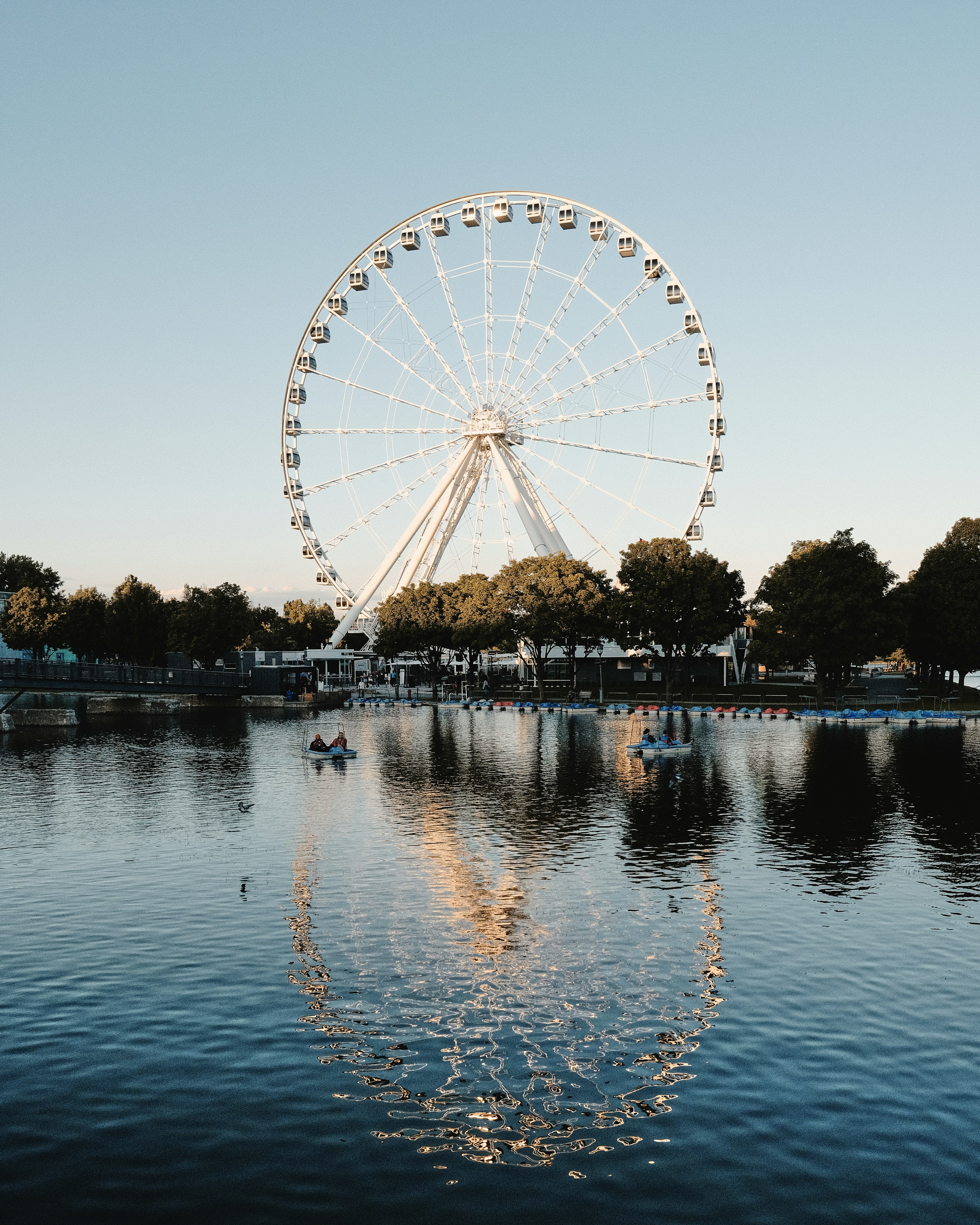 ferris wheel near body of water during daytime